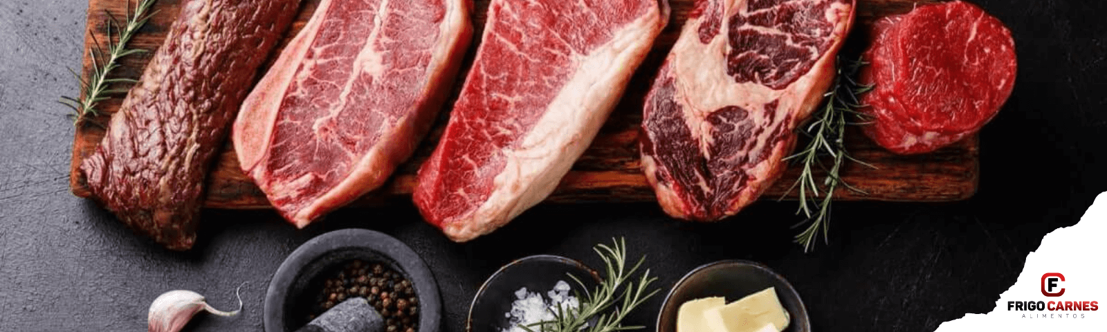 banner-principal-top-min-02